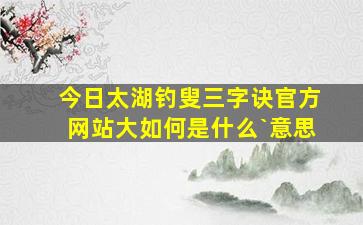 今日太湖钓叟三字诀官方网站大如何是什么`意思